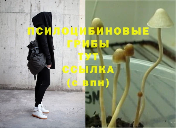 герыч Алексин
