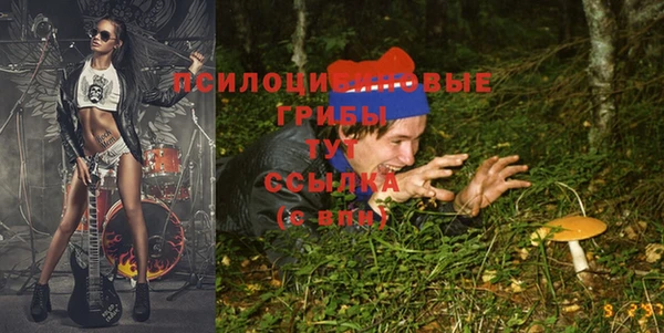 круглые Алзамай