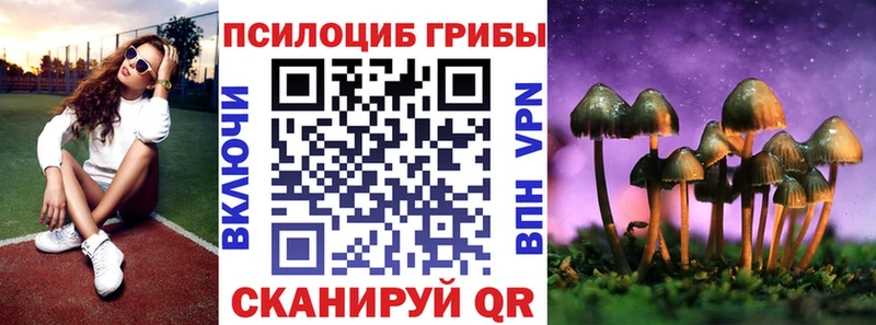 закладка  Енисейск  Псилоцибиновые грибы MAGIC MUSHROOMS 