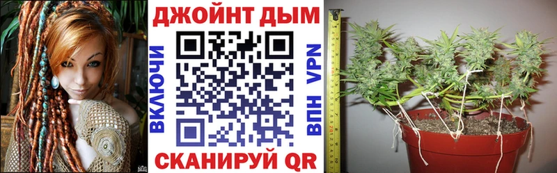 продажа наркотиков  Енисейск  Каннабис сатива 